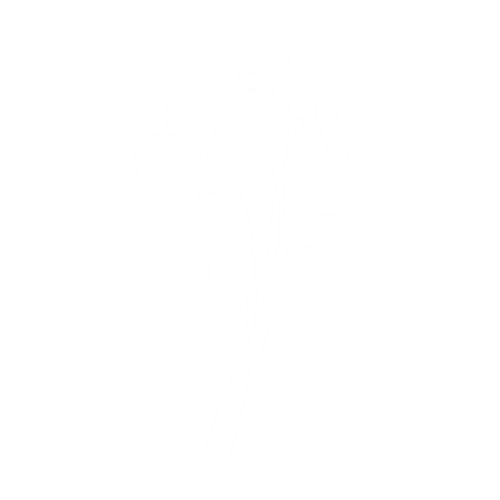 flower line art